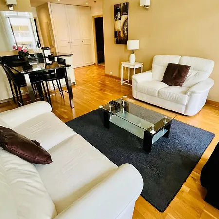 Golden Triangle 2br/2ba Apartment Cannes